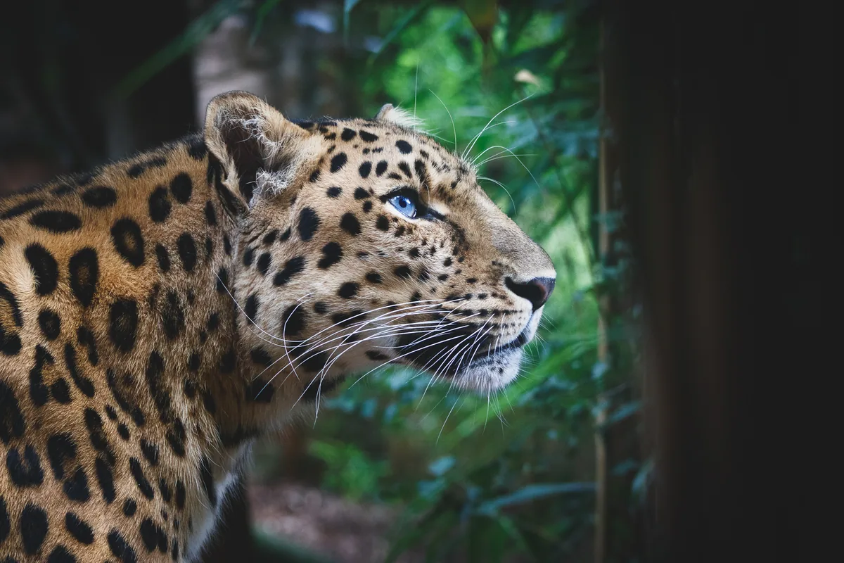 Colchester Zoo 07/2025