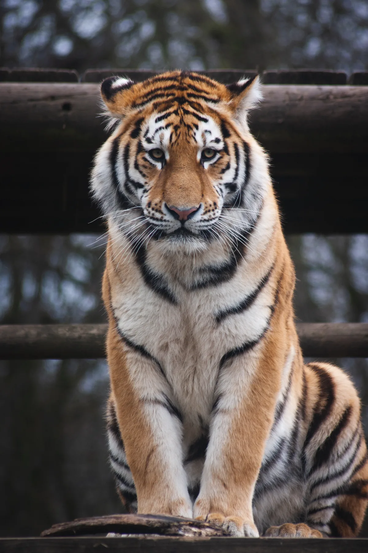 Haz you seen me stick?