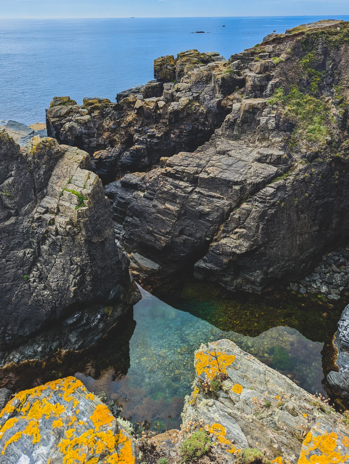 Look how clean the water is!