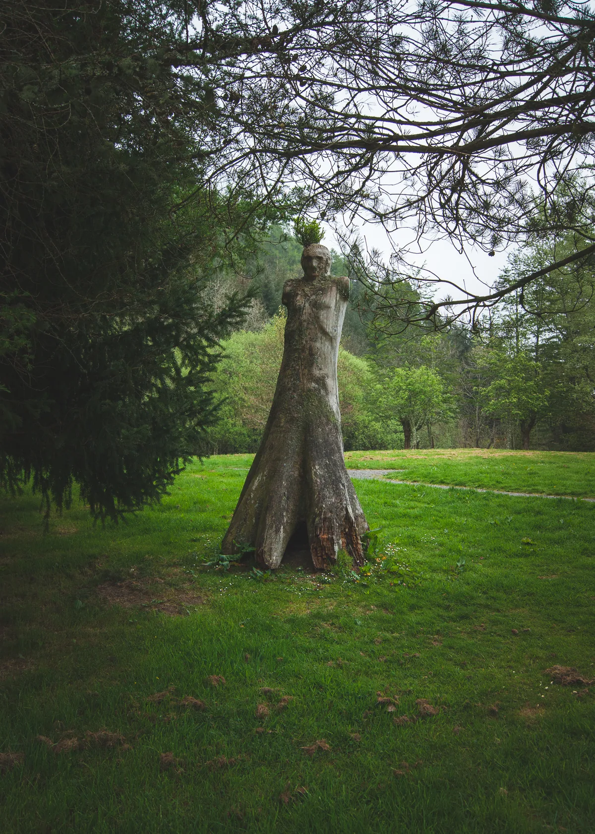 Lake Vyrnwy Sculpture Trail
