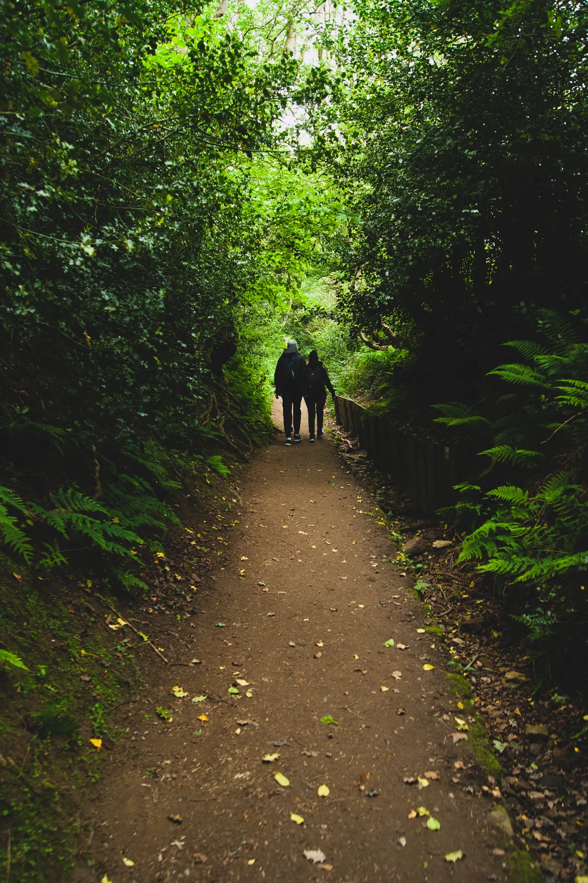 The Secret Passageway