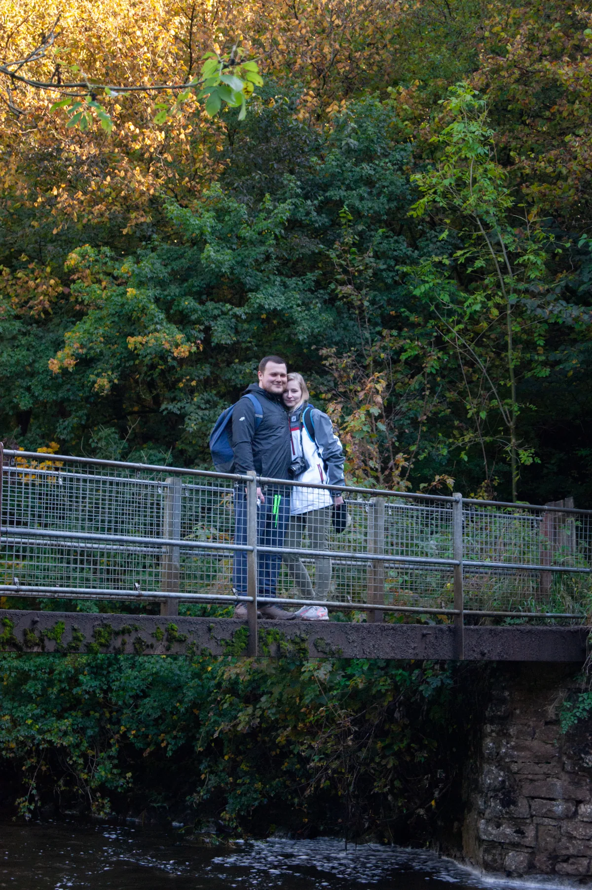 Can you feel the love tonight?