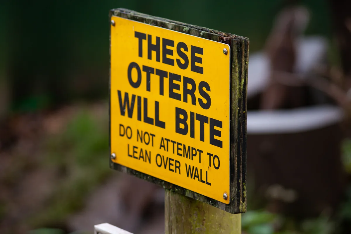 Great, now I want to check it!