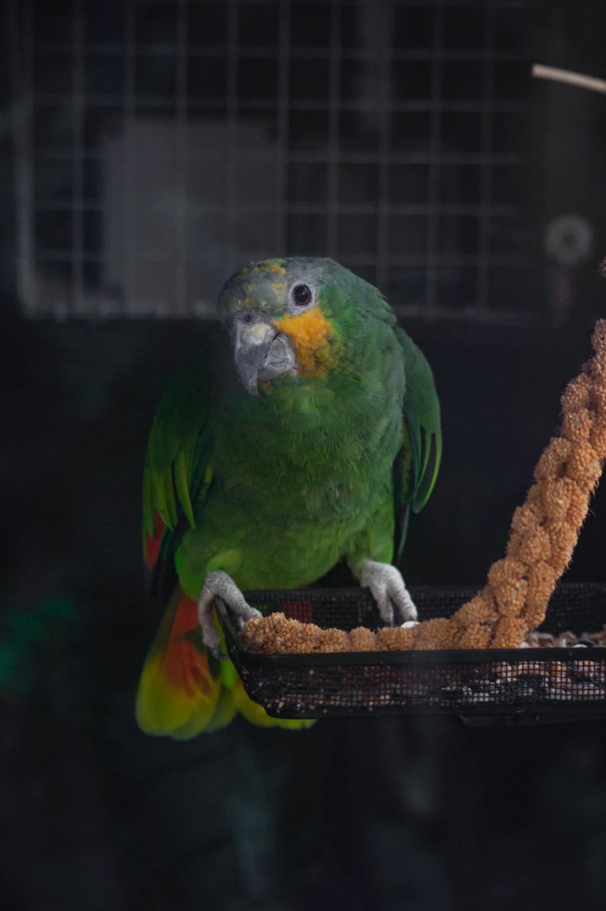 …see what I have to deal with?