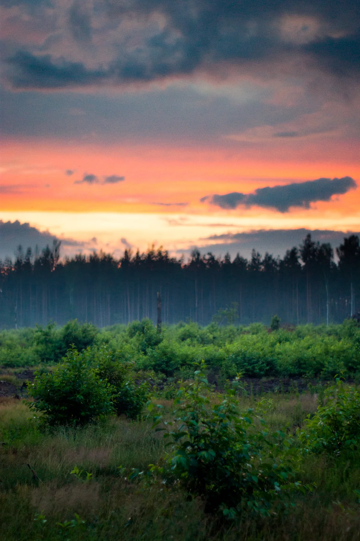 Who painted the sky?