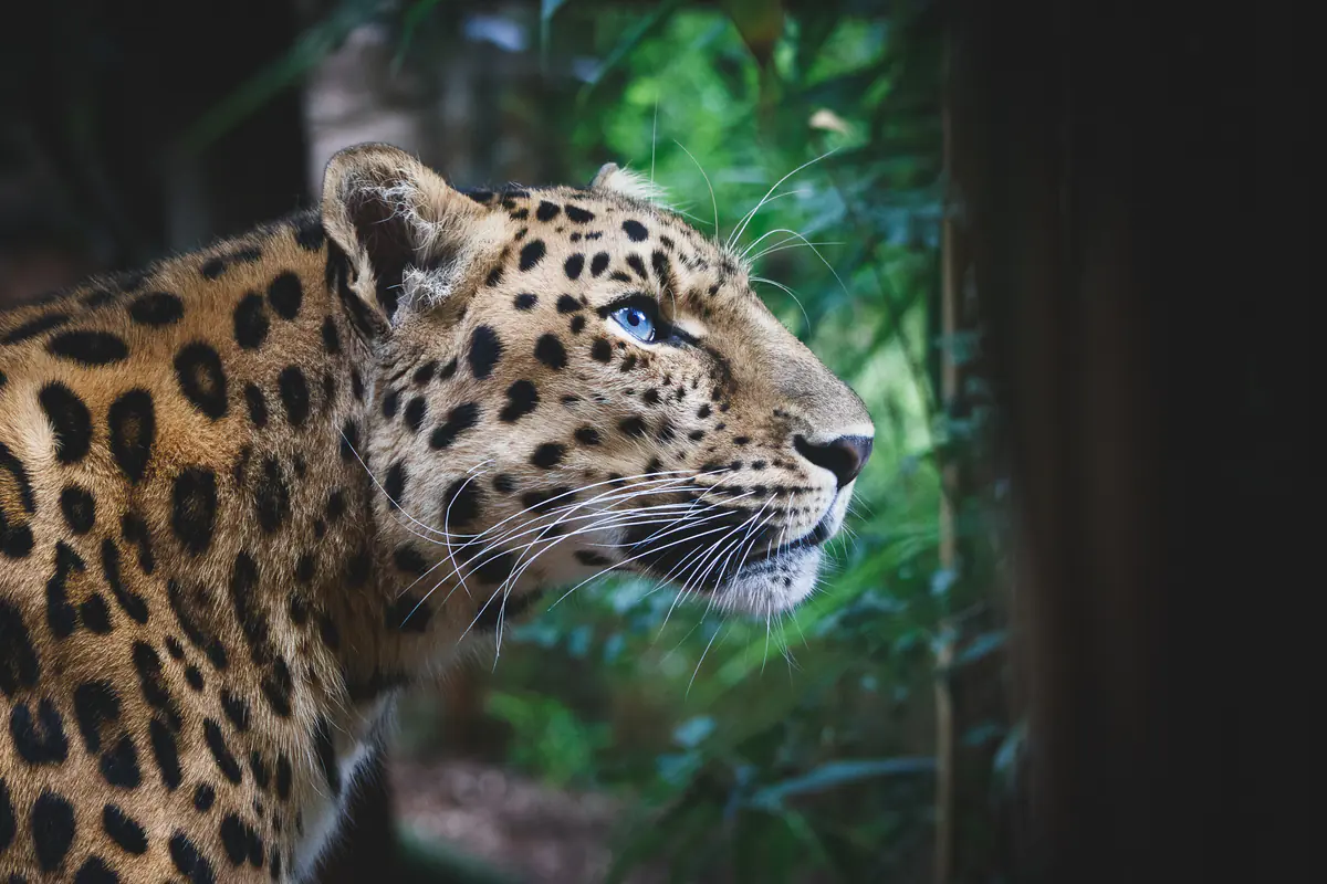 Colchester Zoo 07/2025