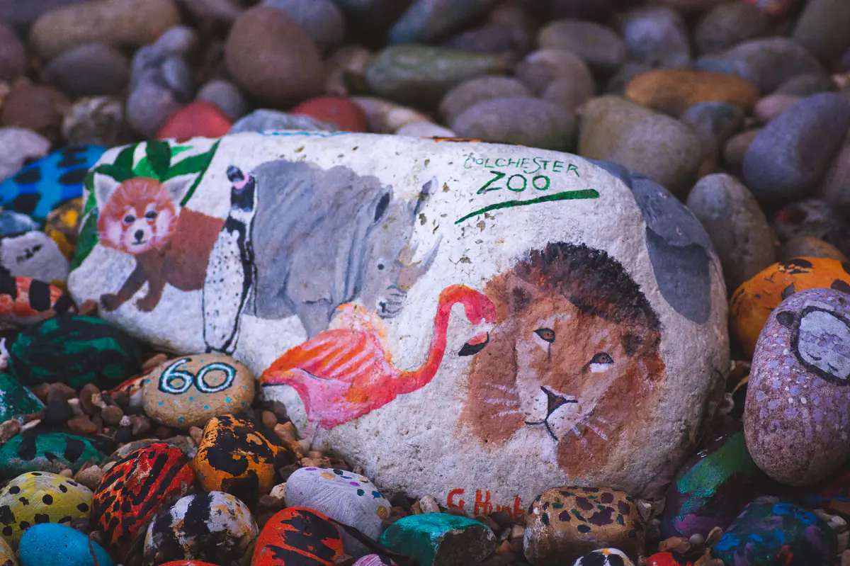 Welcome to the Colchester Zoo