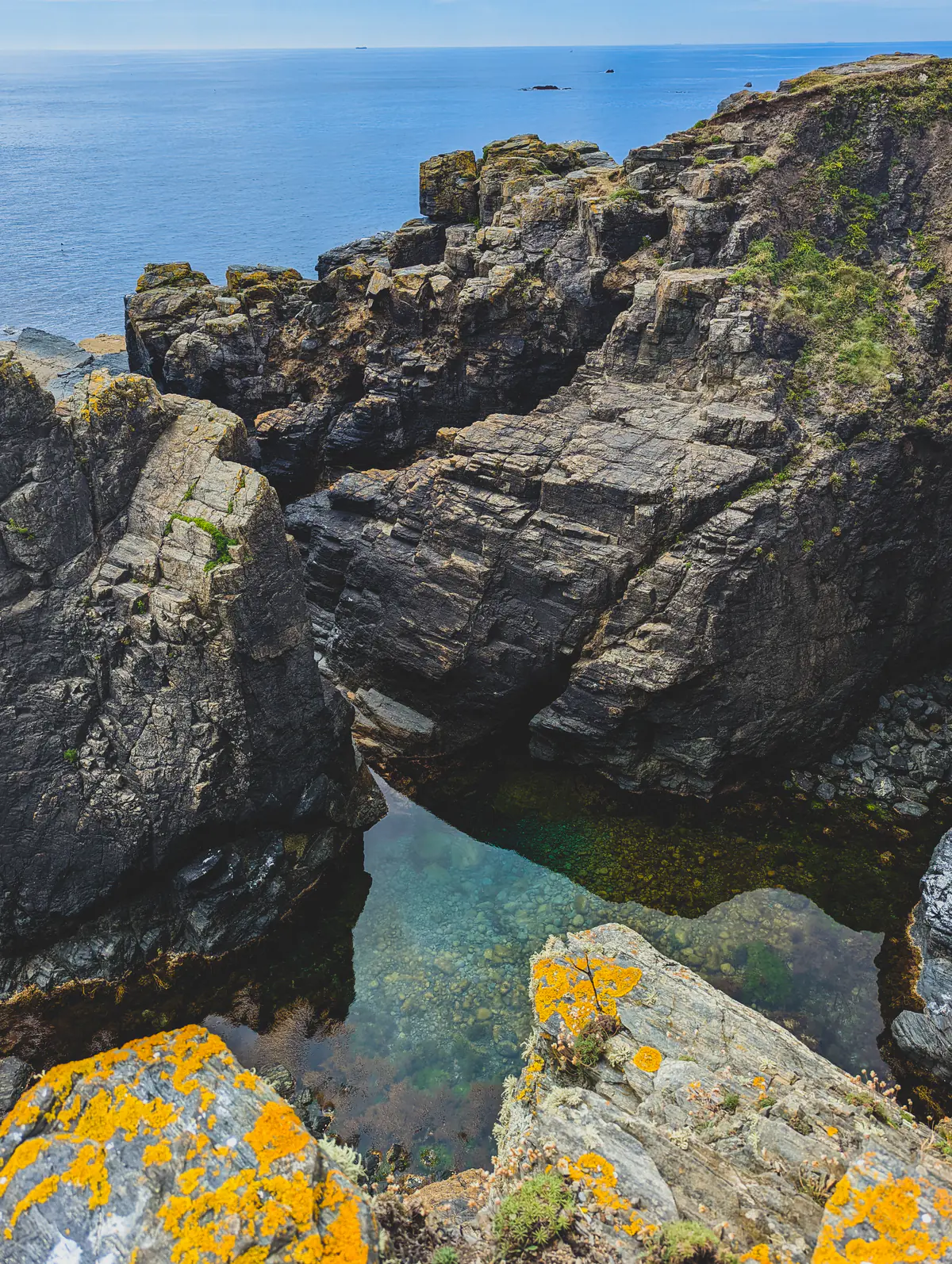 Look how clean the water is!