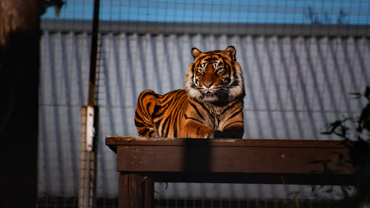 Shepreth Wildlife Park 2