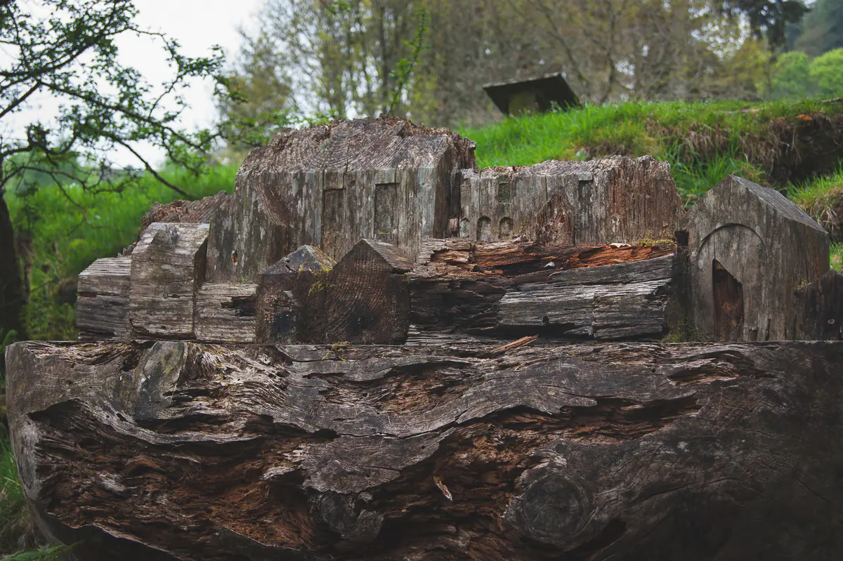 Lake Vyrnwy Sculpture Trail