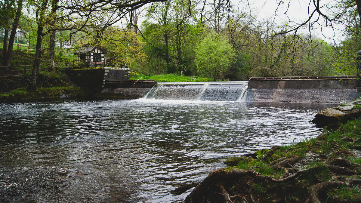 Lake Vyrnwy Sculpture Trail