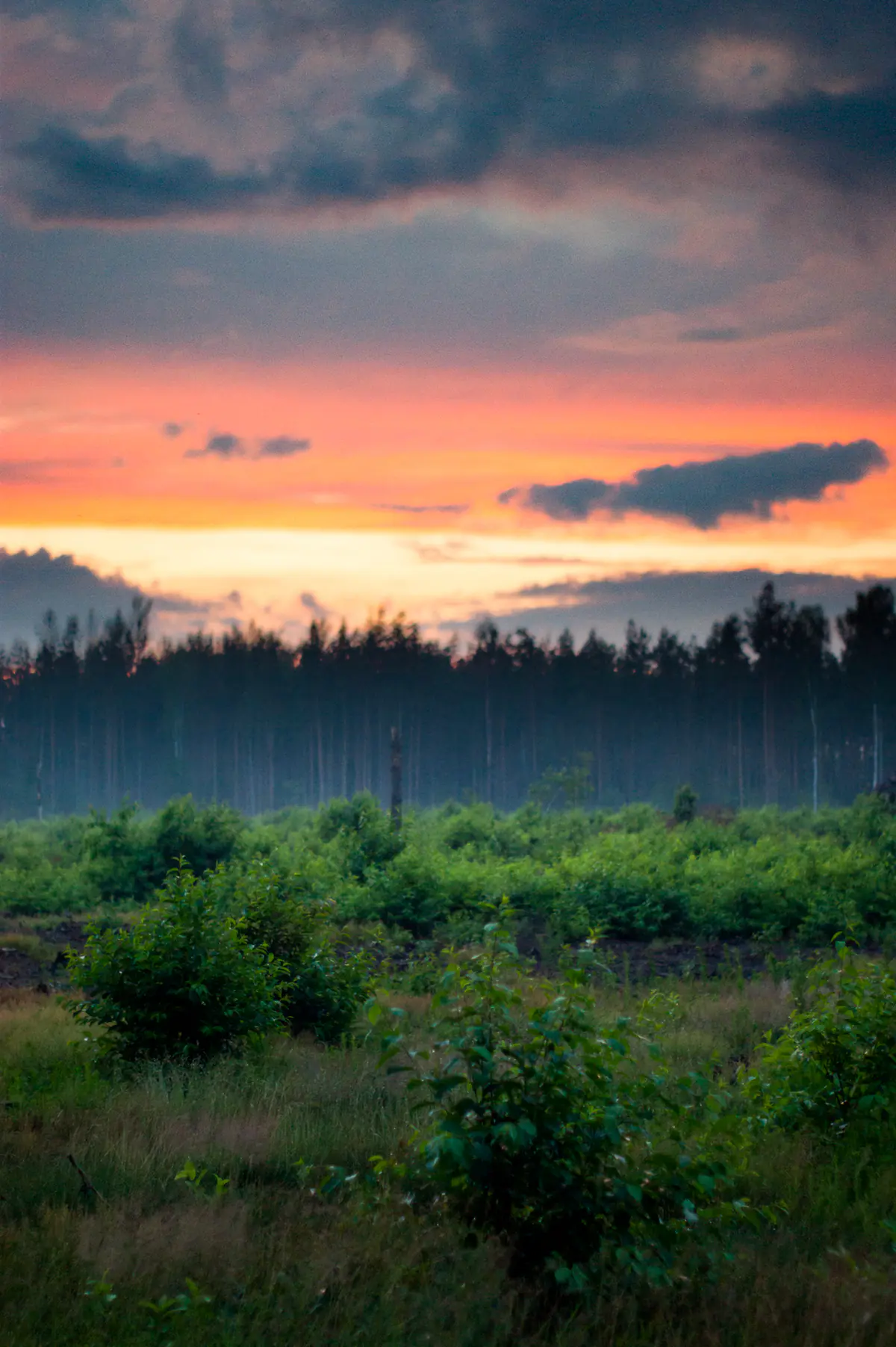 Who painted the sky?