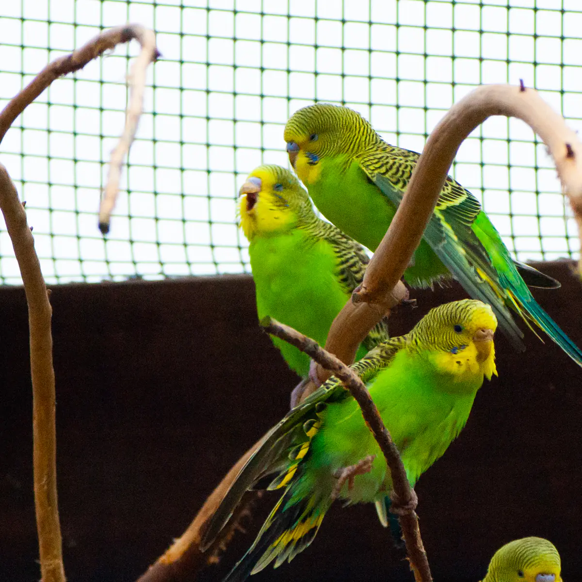 A morning person and not a morning person