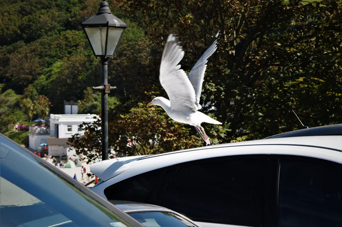 3... 2... 1... Launch!