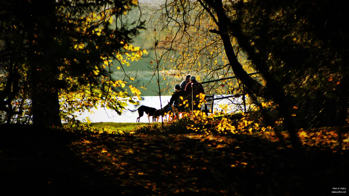 Autumn in Hinchingbrooke