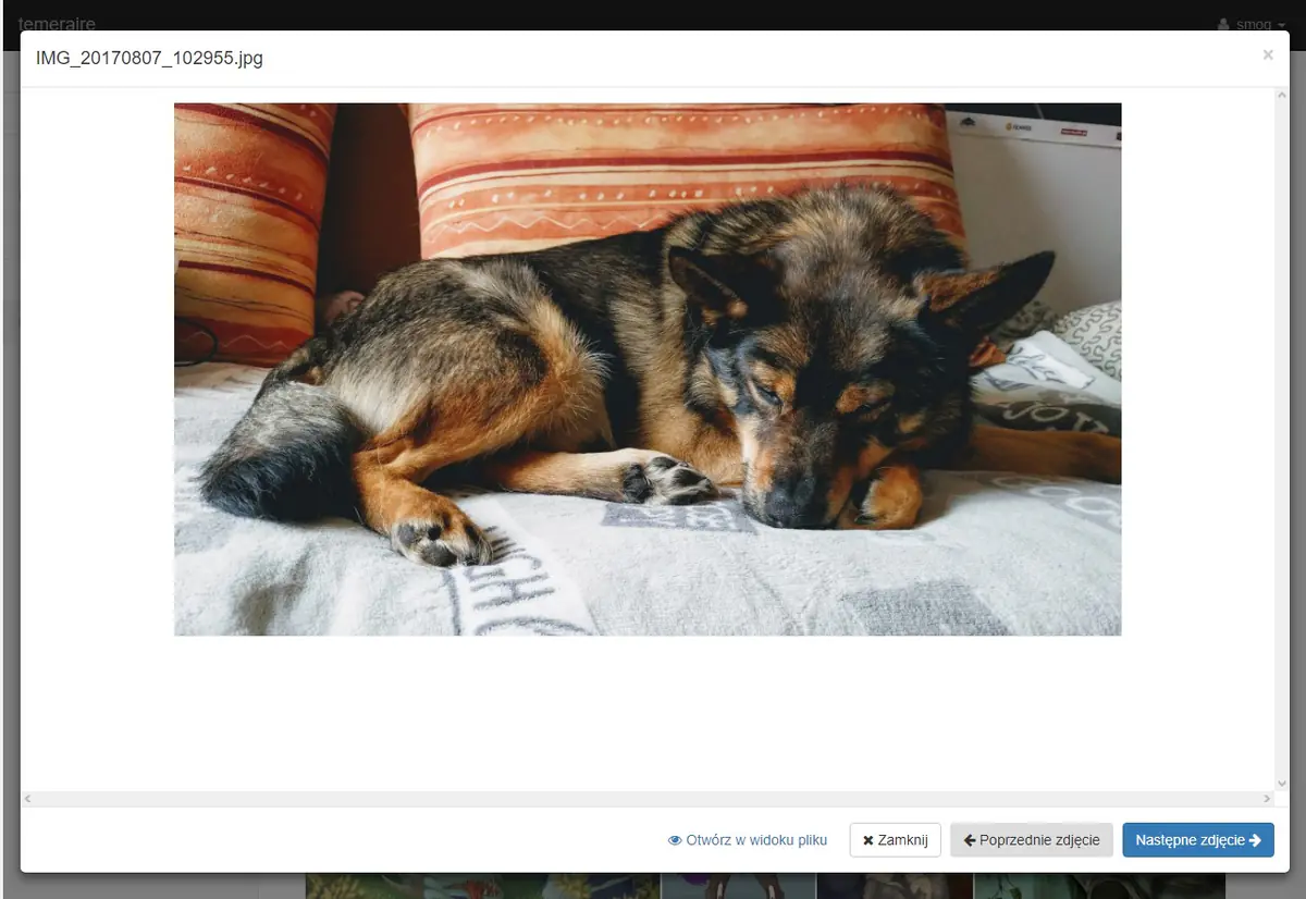 HomeServer 2: moduł zdjęć i nowości w module kamer